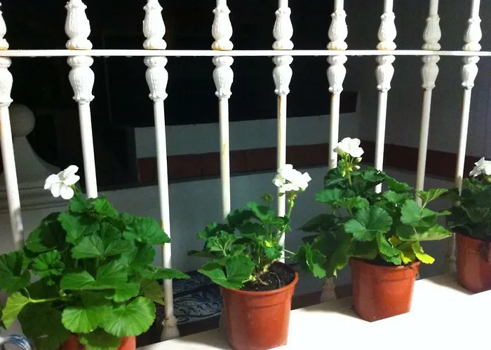 Atico Amistad Apartament Sewilla
